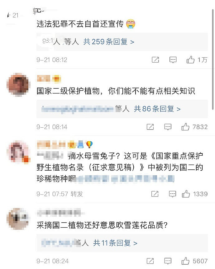 韩星捕泰国珍惜动物差点被判刑，刘宇宁摘国家二级保护植物，还把无知当无辜（组图） - 5