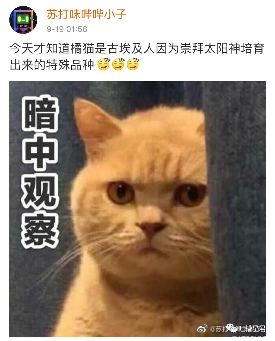 【爆笑】“周杰伦怒怼杠精骂上热搜？！”网友：花式炫富有多心机？哈哈哈哈...（视频/组图） - 13