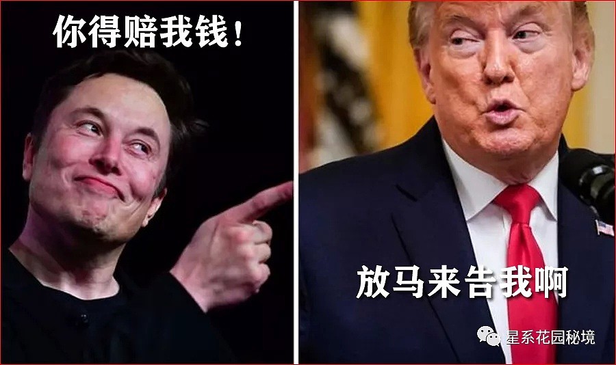 翻脸了！特斯拉状告川普白宫，马斯克到中国办厂后居然“变了色”…（组图） - 5