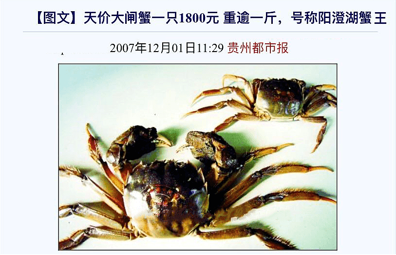 99％是冒牌货：吃到一只正宗阳澄湖大闸蟹，到底有多难？（组图） - 1
