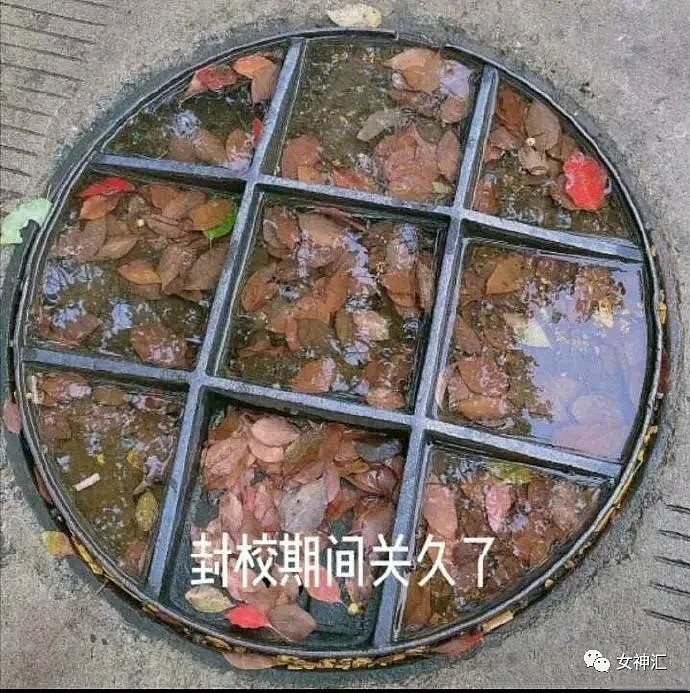 【爆笑】让P图大师帮忙P张照骗，用来相亲！结果...网友：“你这要把我整死！”（视频/组图） - 32