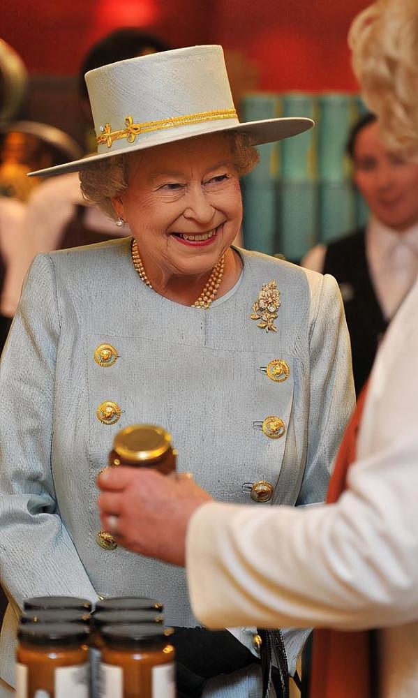 英女王拒绝给自己加薪！为节约成本，更多王室活动将通过线上完成（组图） - 5