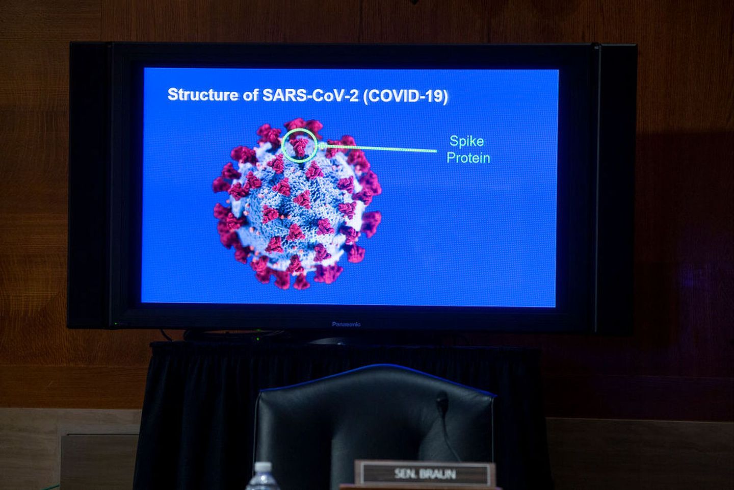 图为9月9日位于美国华盛顿的国会大楼内，一个参议院听证会上有荧幕展引起新型冠状病毒肺炎的SARS-CoV-2病毒的结构。（Getty）