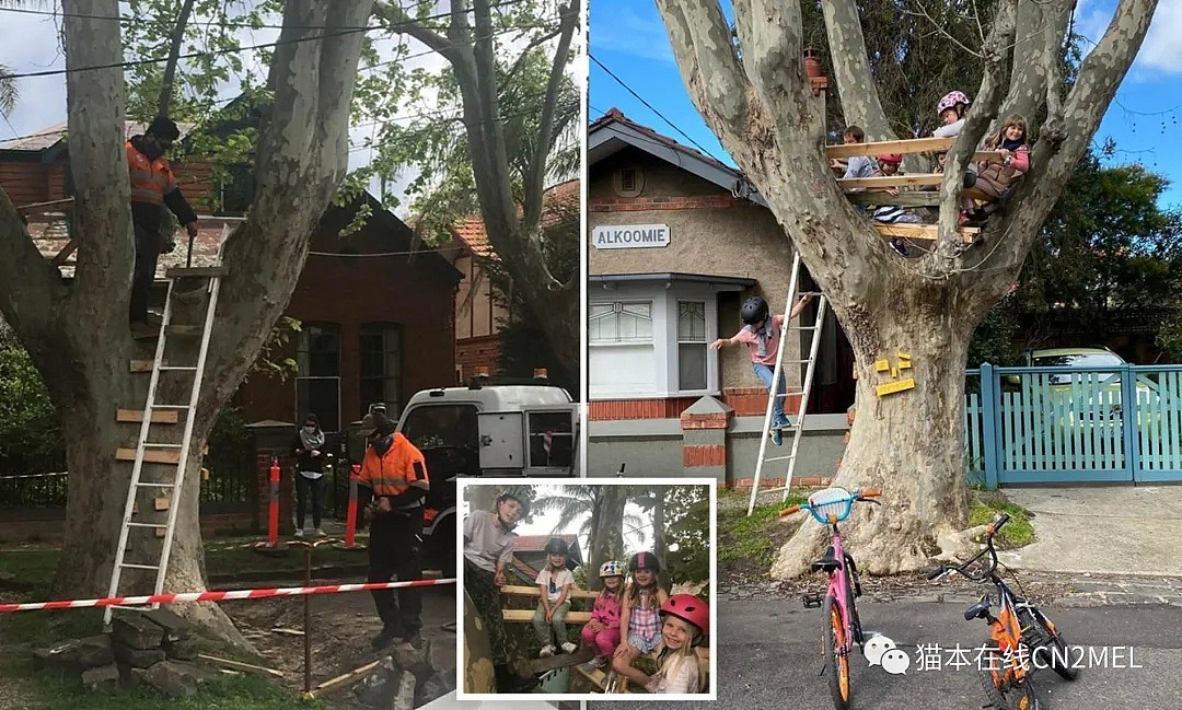 因邻居投诉，澳洲一间承载着成长回忆的树屋被拆了，孩子们哭的歇斯底里（组图） - 2