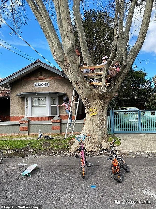 因邻居投诉，墨尔本一间承载着成长回忆的树屋被拆了，孩子们哭的歇斯底里（组图） - 4