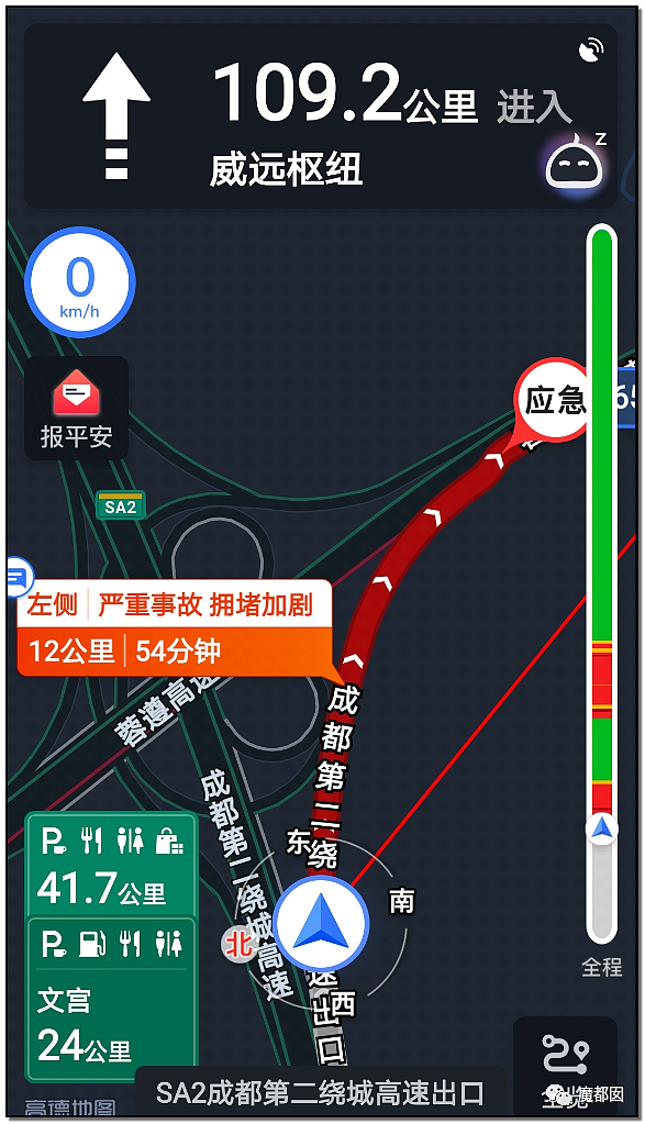 疯狂！今年中国不寻常，高铁都晚点，高速堵死，人山人海，大家还好吗？（组图） - 75