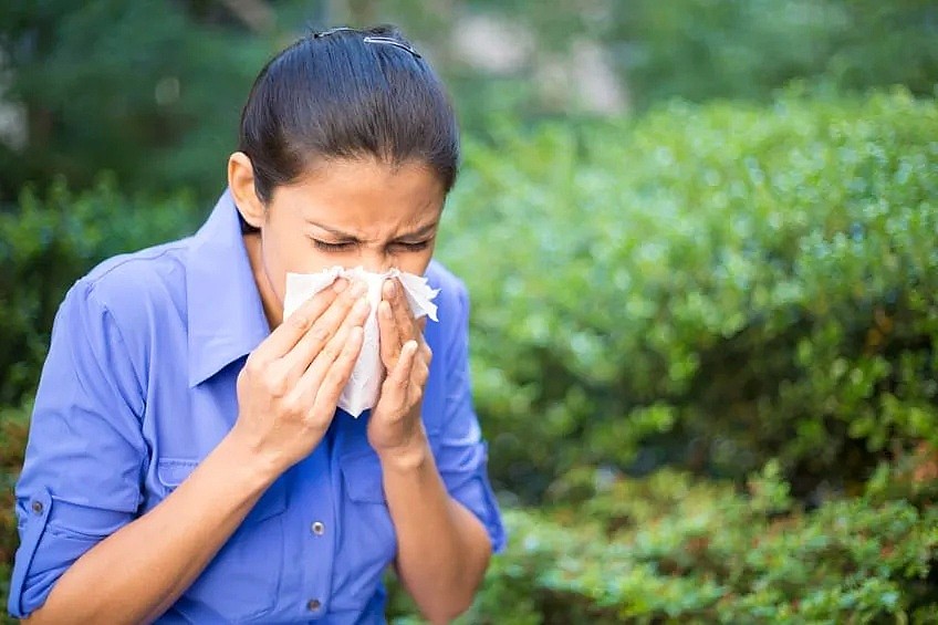 7例！疫情未走，新威胁已来，澳华人卫生官正式警告：花粉季已开始，当心雷暴哮喘 - 12