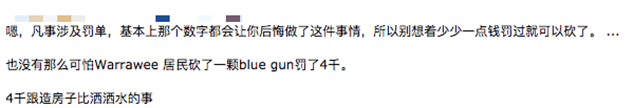 注意！澳洲严禁自家门口私自做这事，违者罚款数万，不少人不知情被罚哭… - 26