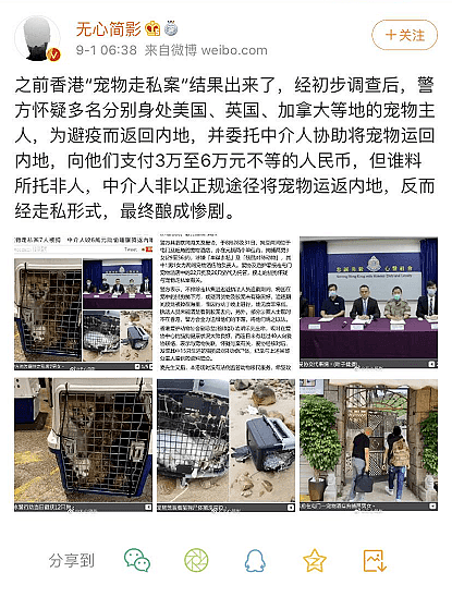黑心！中国留学生花8万托运宠物，差点没命，疫情带猫狗回国，警惕无良中介（组图） - 9