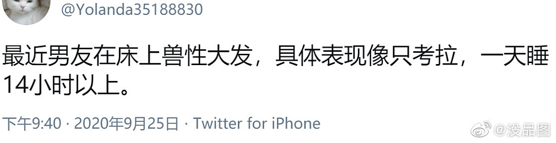 【爆笑】“请向西红柿炒蛋道歉！”中国人又双叒被外国人做饭给逼疯了哈哈哈（视频/组图） - 13