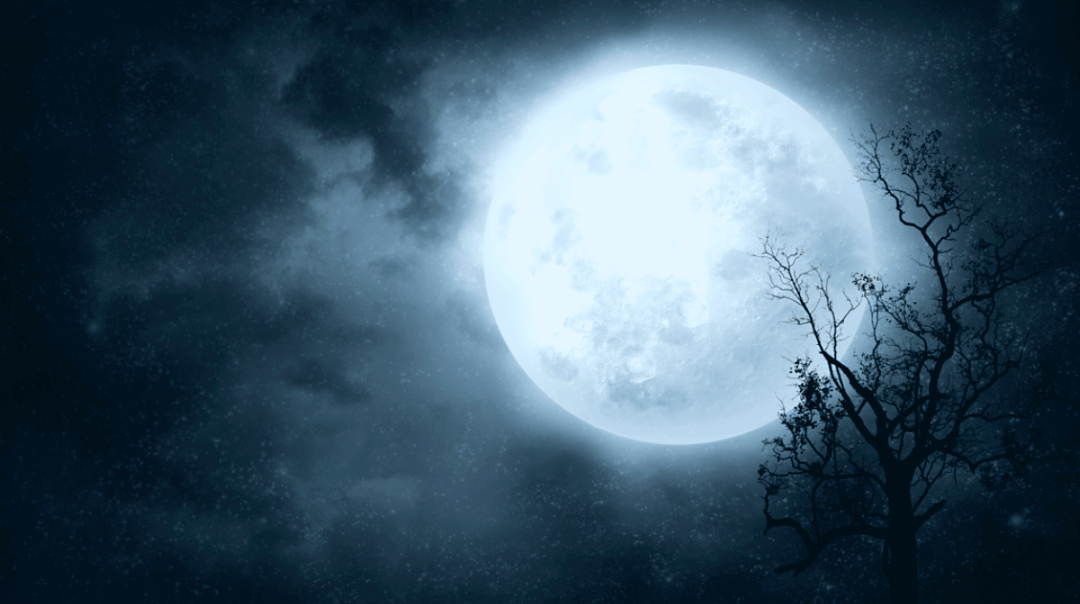 西澳民众有眼福了！19年来罕见“蓝月”现象将在万圣节前夜出现！（多图） - 1