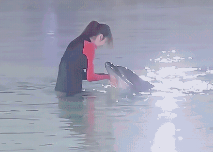 又一综艺节目翻车！吴宣仪金子涵带妆亲吻海豚，被鲸类保护联盟点名批评（组图） - 3