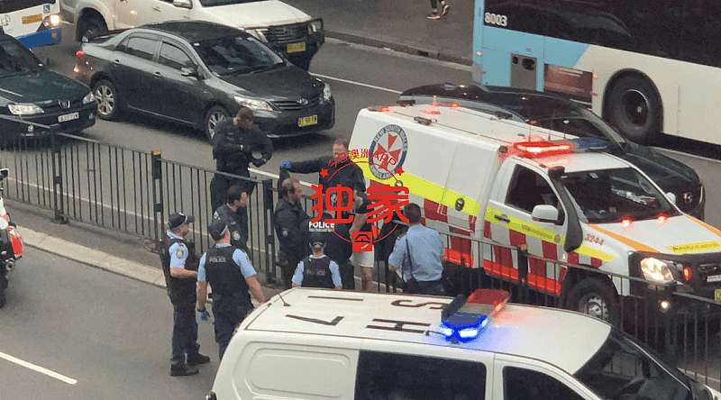 突发！悉尼CBD街头惊现“激动男”，击打头部情绪躁动！大批警员到场制服，交通一度受阻（视频/组图） - 4