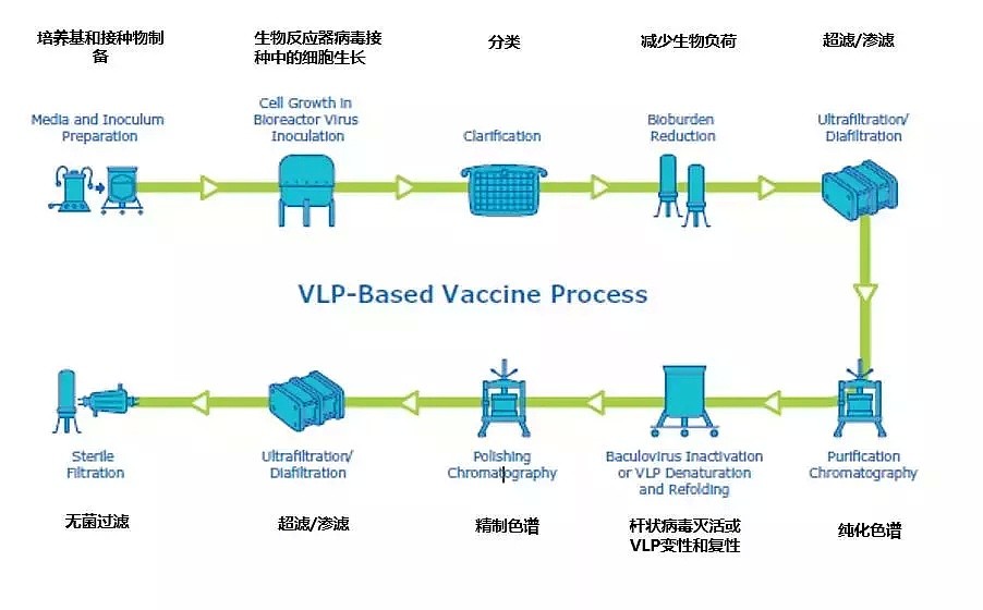 黄牛加价3倍，连香港供货都紧张：救命的疫苗为什么总断货？（组图） - 5