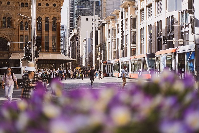 悉尼市政府生动色彩花卉展，在南半球第一缕春风中唤醒了悉尼（组图） - 1