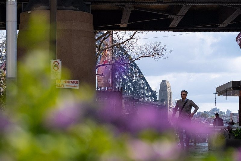 悉尼市政府生动色彩花卉展，在南半球第一缕春风中唤醒了悉尼（组图） - 5