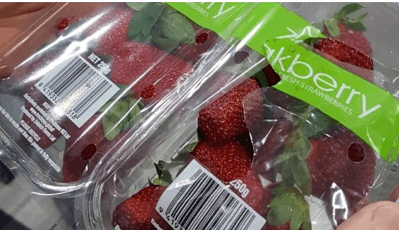 恐怖！草莓藏针从澳洲传到新西兰，疑似华男持带血针头，在超市狂戳面包，草莓藏针案又升级了？（组图） - 16