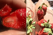 恐怖！草莓藏针从澳洲传到新西兰，疑似华男持带血针头，在超市狂戳面包，草莓藏针案又升级了？（组图）