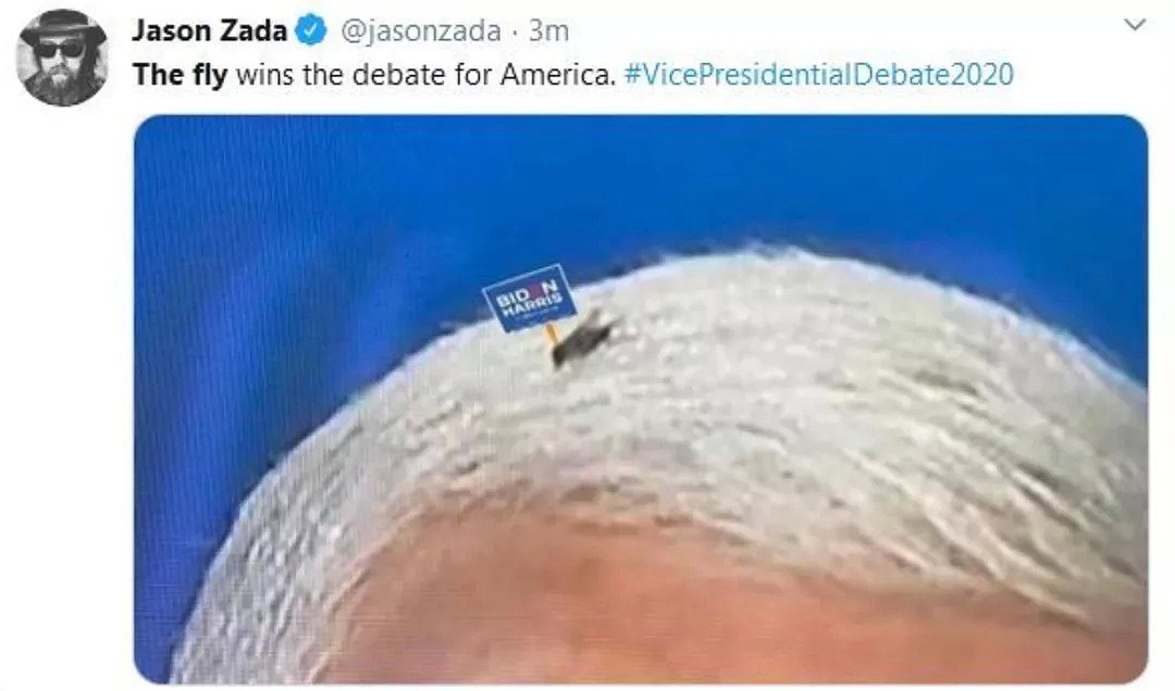 美国副总统辩论，苍蝇竟成“赢家”！川普：第二轮辩论改线上，我不参加（组图） - 17