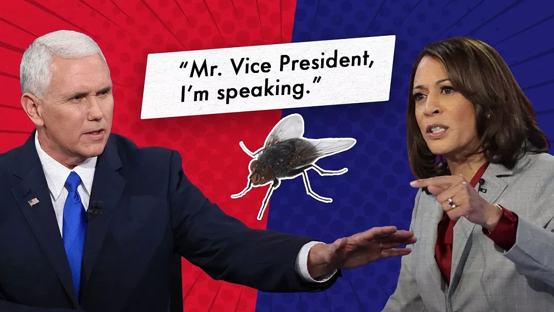美国副总统辩论，苍蝇竟成“赢家”！川普：第二轮辩论改线上，我不参加（组图） - 27