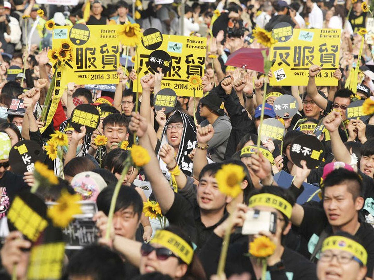 2014年的太阳花学运，台湾年轻人自称“觉醒青年”，高举标语表达诉求。（Reuters/VCG）