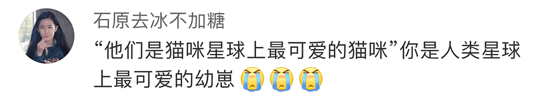 【爆笑】4岁小男孩在婚礼上「警告」新郎，一句话让在场的所有人都听哭了...（组图） - 6