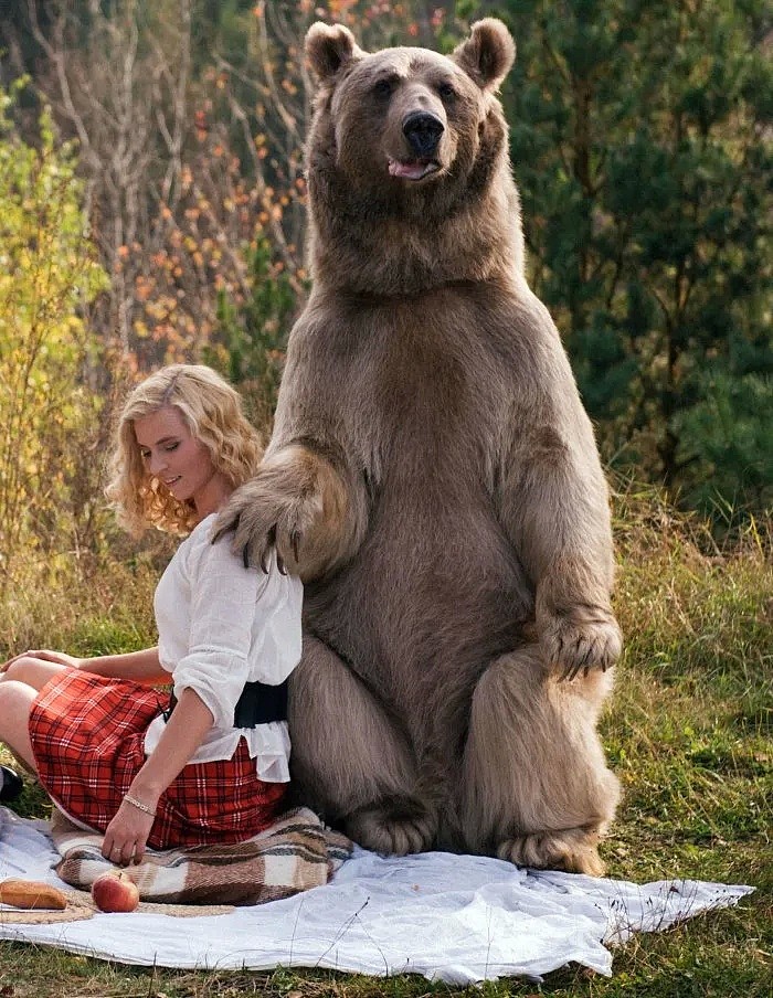 性感美女和一头700kg棕熊相拥而眠！无数男人羡慕嫉妒：这熊太有艳福（组图） - 20