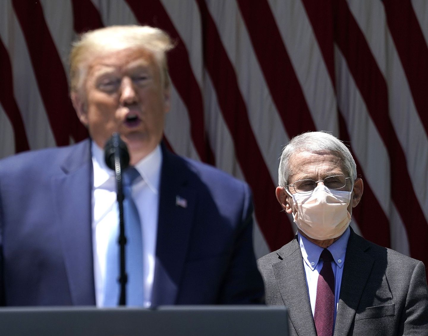 图为2020年5月15日，美国总统特朗普和国家过敏症和传染病研究所所长福奇于白宫玫瑰园出席记者会，讲解研发疫苗进展。（Getty）