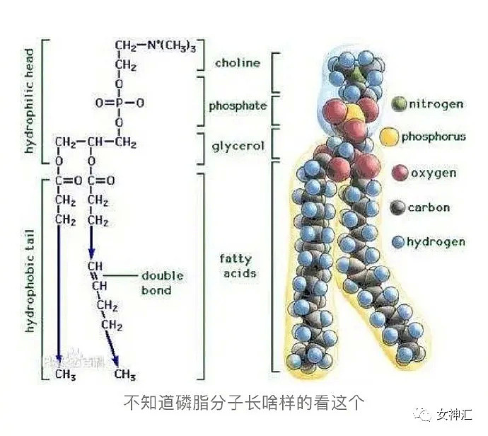 【爆笑】“我不介意你和她的事了，我们复合吧？”深夜前任突然发消息给我，结果..（组图） - 20