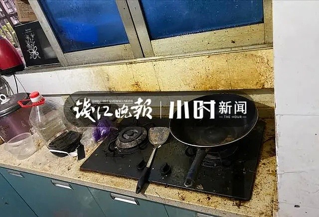 房东收房当场崩溃：这是垃圾场吗？走进阳台瞬间毛骨悚然…（组图） - 5