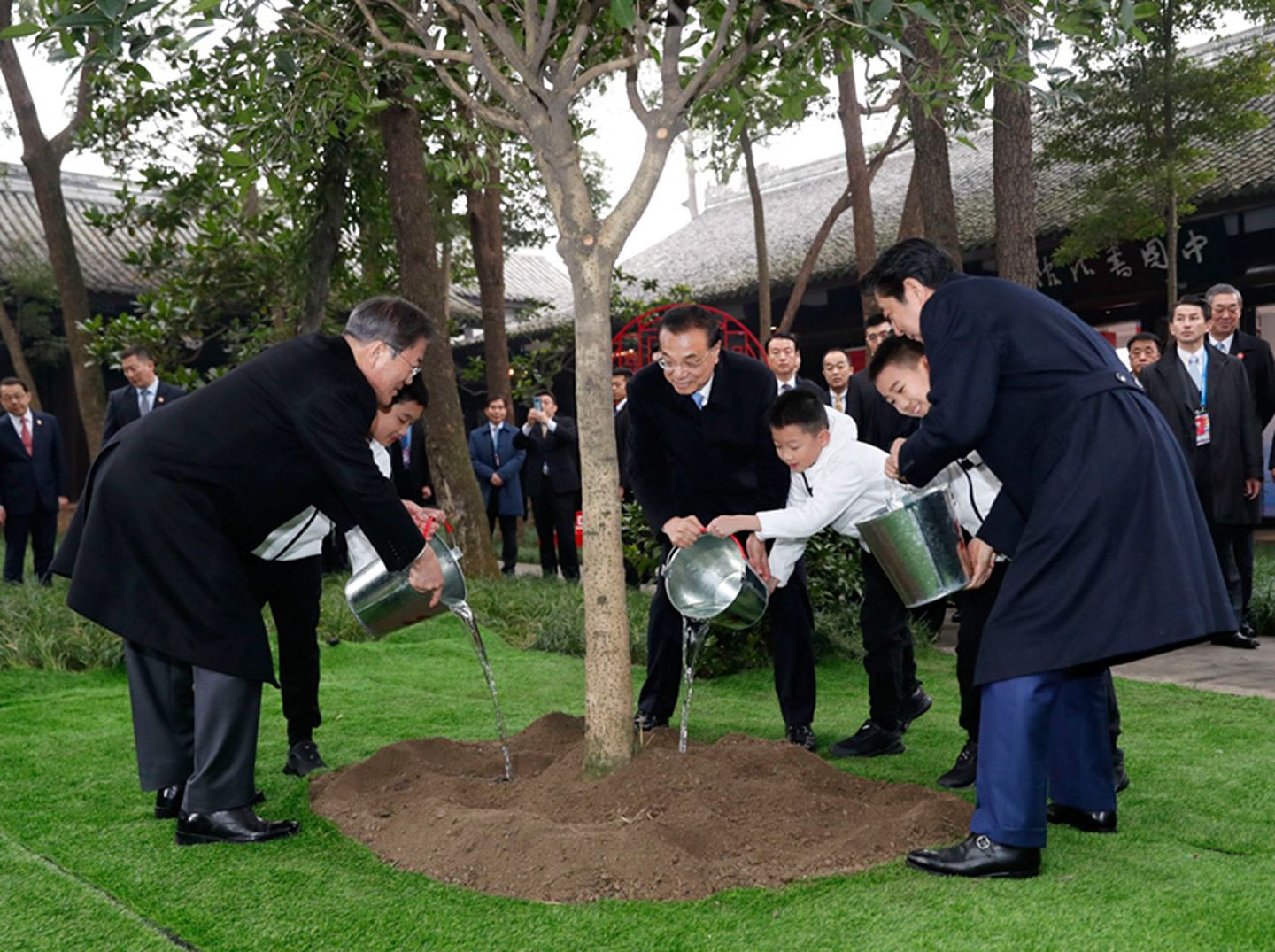 三国领导人还共同种下一棵桂花树，一起为它培土、浇水。（中国政府网）
