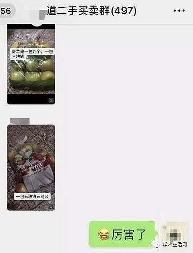纽约：华人滥领救济食物，转手卖苹果，不喜欢就扔（图） - 2