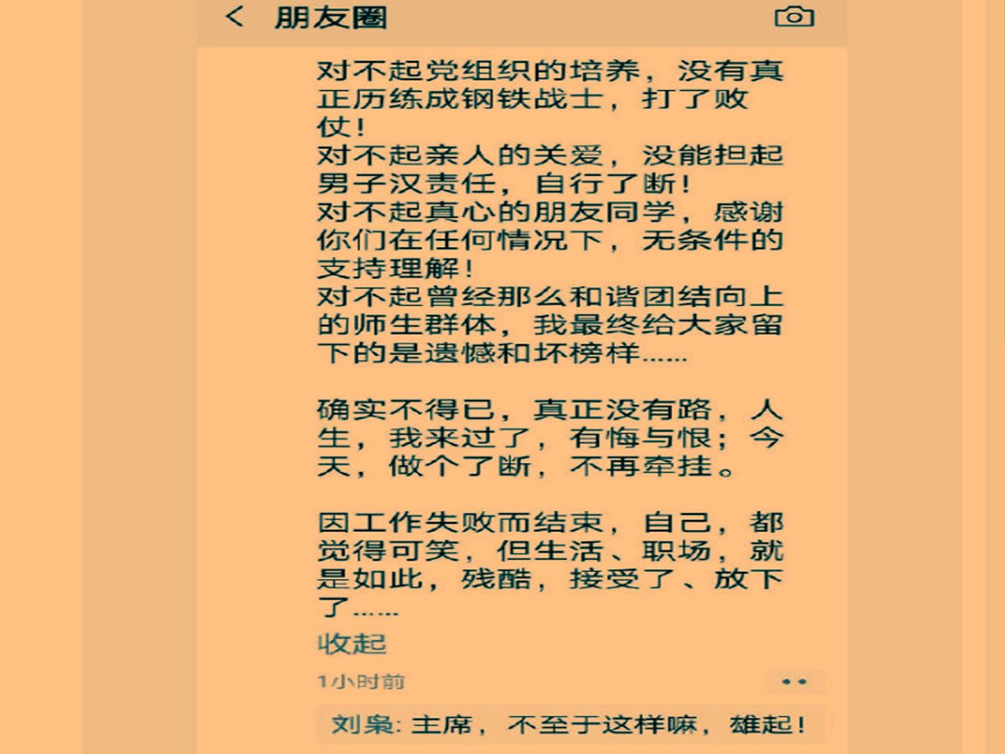 毛洪涛发布朋友圈下方，还有人进行评论。（微博@Vista看天下）