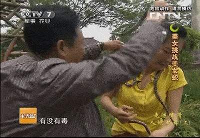 中国最恐怖农村：800人养了300万条蛇，把央视记者都吓坏了！（视频/组图） - 1