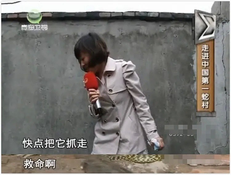 中国最恐怖农村：800人养了300万条蛇，把央视记者都吓坏了！（视频/组图） - 3