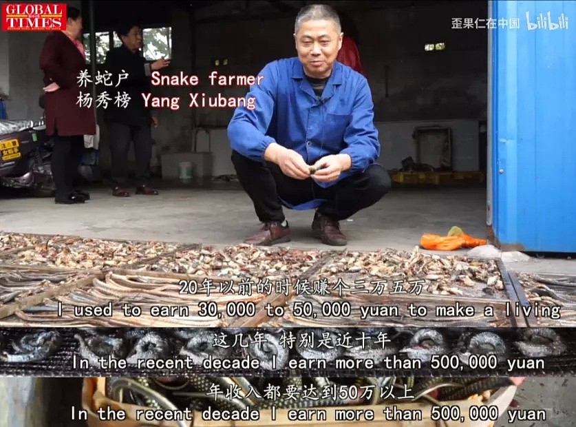 中国最恐怖农村：800人养了300万条蛇，把央视记者都吓坏了！（视频/组图） - 8