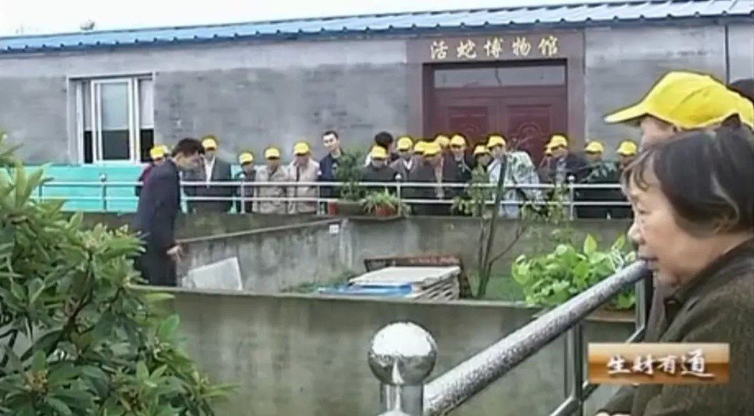 中国最恐怖农村：800人养了300万条蛇，把央视记者都吓坏了！（视频/组图） - 15