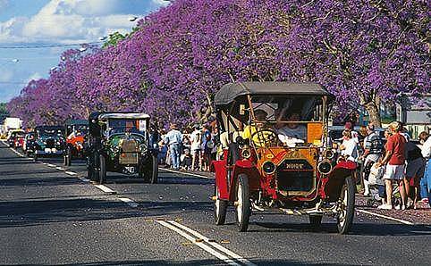 蓝花楹节取消！紫色浪漫依旧席卷全城，很快澳洲将美成这样...关于蓝花楹的一切都在这了（组图） - 32