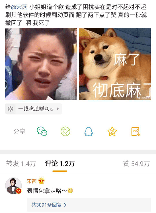 宋茜金鹰女神造型被群嘲，晒泳装照反击身材臃肿之说，网友：情商真高（组图） - 15