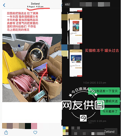 中国留学生吐槽：“悉尼心机情侣设局，拿猫要挟敲诈赚黑心钱”（组图） - 8