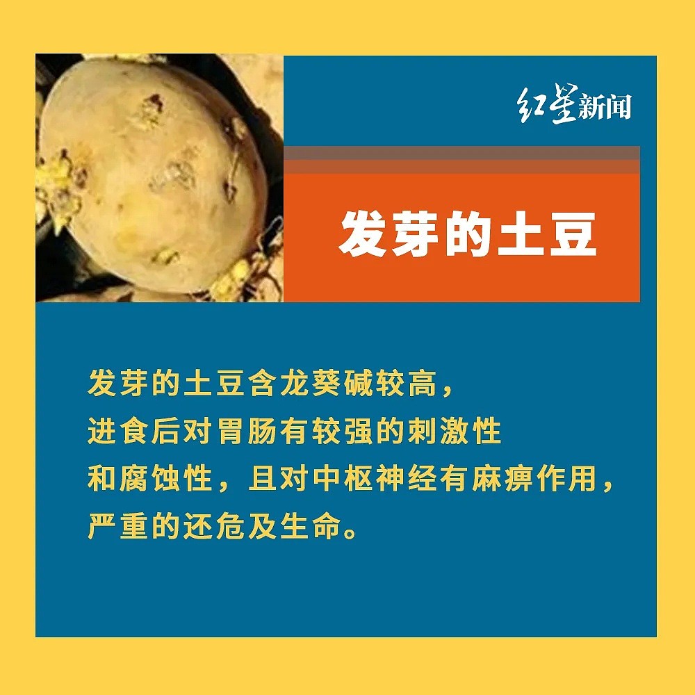 痛心！“酸汤子”中毒事件最后一名伤者去世，中国卫健委紧急提醒，这些慎吃（组图） - 5