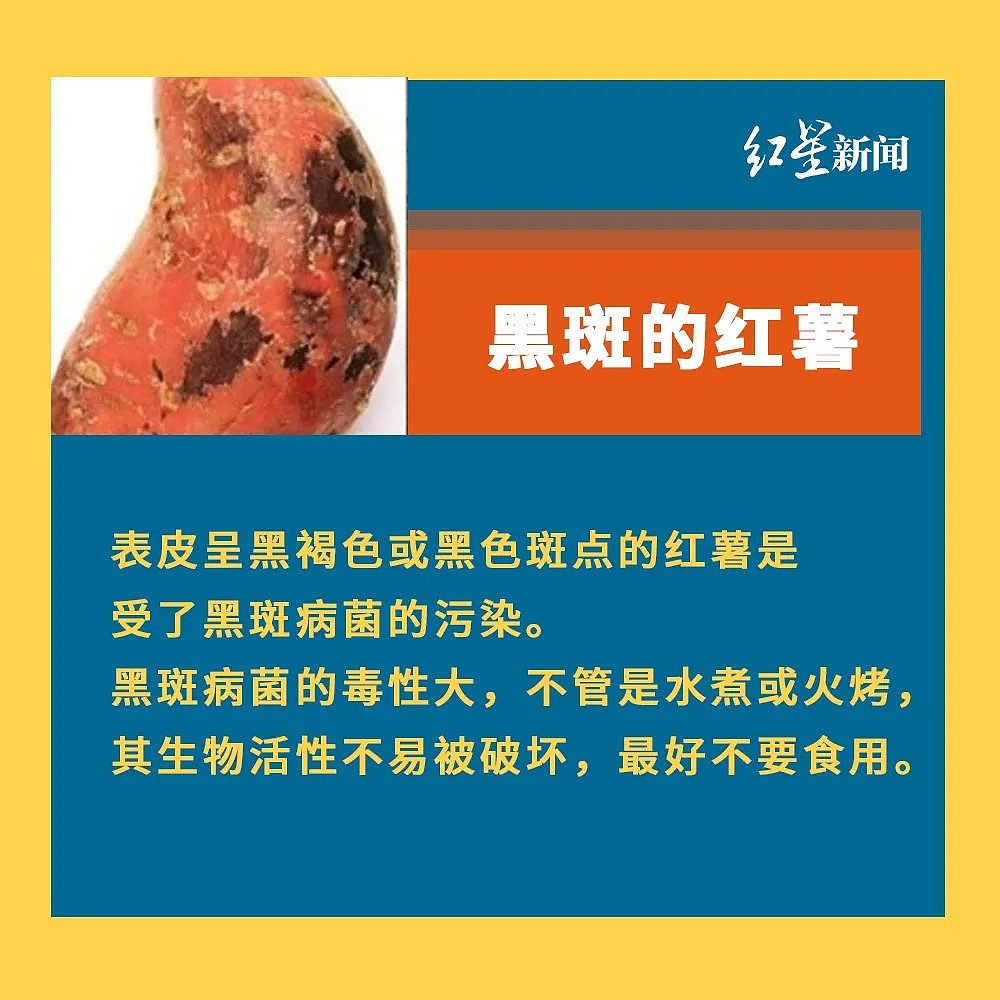 痛心！“酸汤子”中毒事件最后一名伤者去世，中国卫健委紧急提醒，这些慎吃（组图） - 10