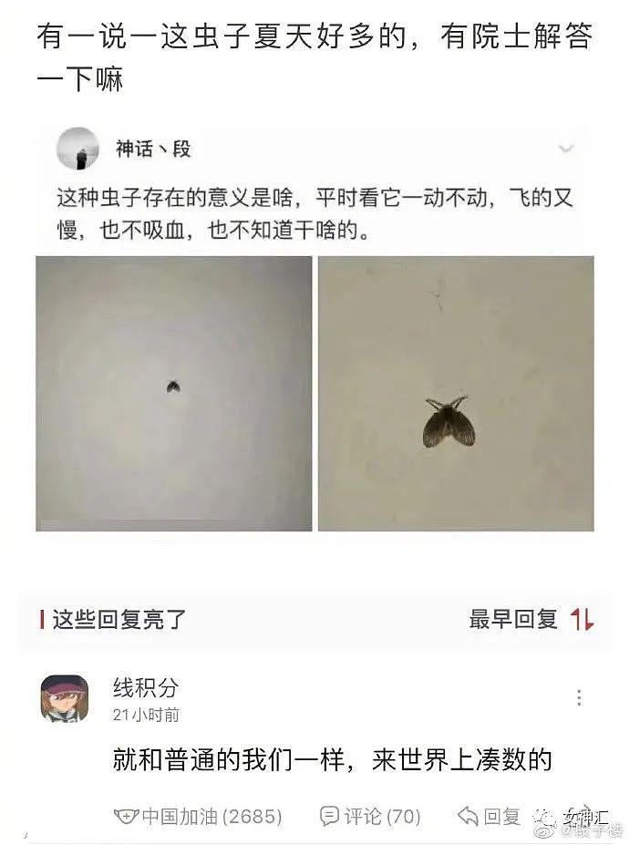 【爆笑】“富婆出租12w的爱马仕包，结果...”网友：有钱人都那么会过日子？（组图） - 17