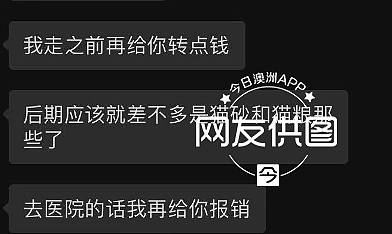 被批“设局拿猫要挟敲诈”，悉尼华人情侣发声明：绝未虐猫，寄养事件的公开回应（组图） - 4