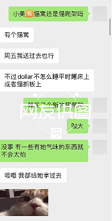 被批“设局拿猫要挟敲诈”，悉尼华人情侣发声明：绝未虐猫，寄养事件的公开回应（组图） - 16