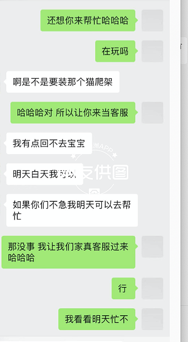 被批“设局拿猫要挟敲诈”，悉尼华人情侣发声明：绝未虐猫，寄养事件的公开回应（组图） - 18