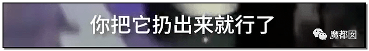 激怒央视！男子残忍用开水活活浇烫怀孕母猫事件引发全网悲愤（组图） - 8