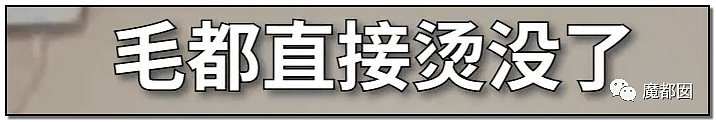 激怒央视！男子残忍用开水活活浇烫怀孕母猫事件引发全网悲愤（组图） - 21