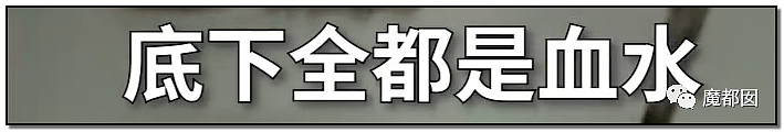 激怒央视！男子残忍用开水活活浇烫怀孕母猫事件引发全网悲愤（组图） - 23