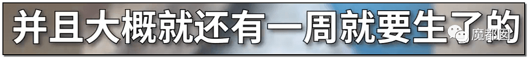 激怒央视！男子残忍用开水活活浇烫怀孕母猫事件引发全网悲愤（组图） - 29